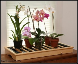 humidity-tray-with-maple-frame